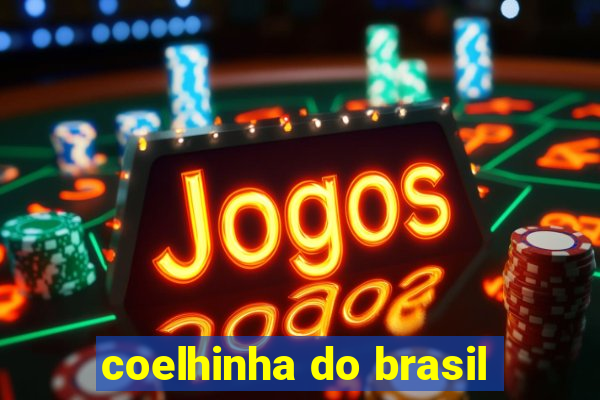 coelhinha do brasil