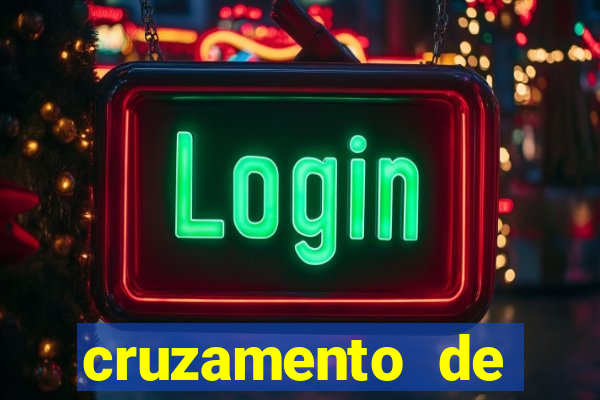 cruzamento de cavalo com mula