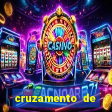 cruzamento de cavalo com mula