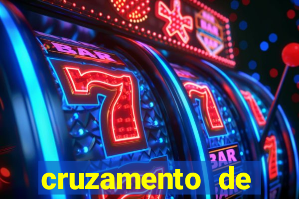 cruzamento de cavalo com mula