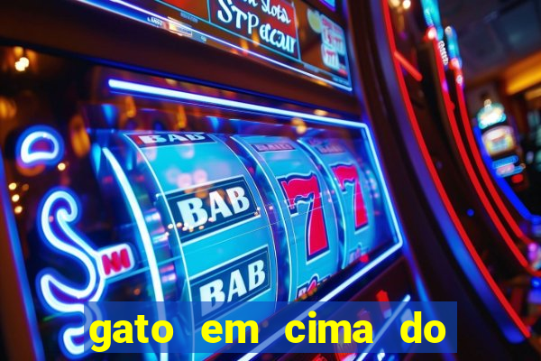 gato em cima do telhado significado espiritual