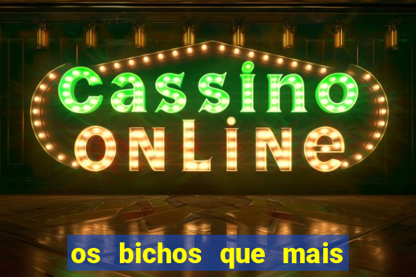 os bichos que mais saem na loteria federal