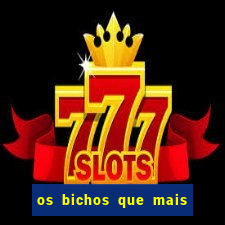 os bichos que mais saem na loteria federal
