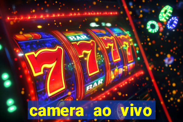 camera ao vivo beto carrero