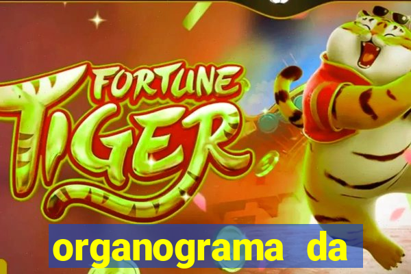 organograma da cacau show