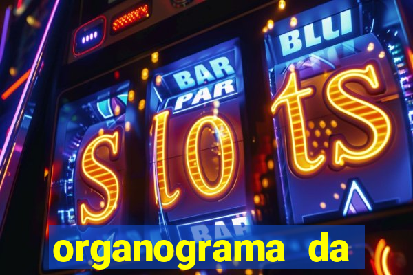 organograma da cacau show