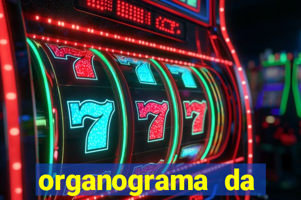 organograma da cacau show
