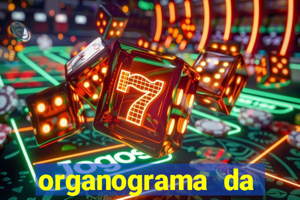 organograma da cacau show