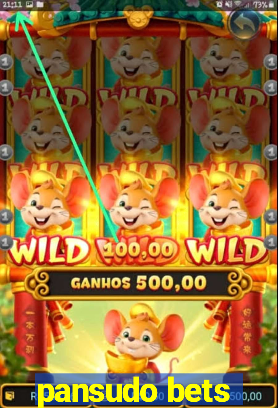 pansudo bets