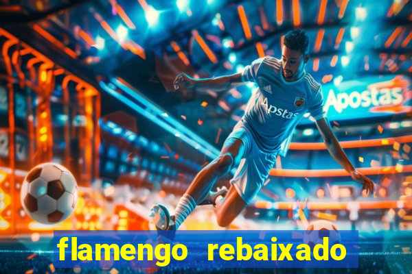 flamengo rebaixado em 1995