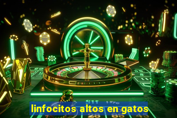 linfocitos altos en gatos