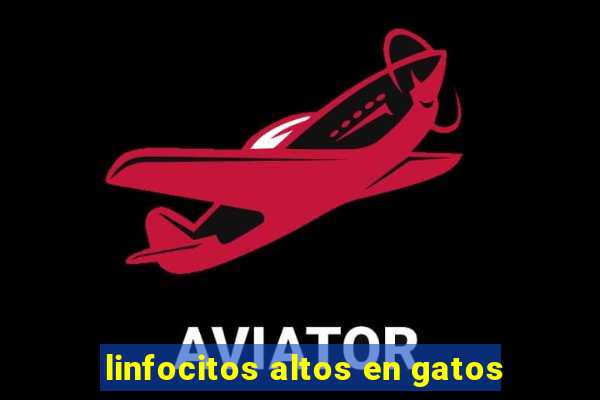 linfocitos altos en gatos