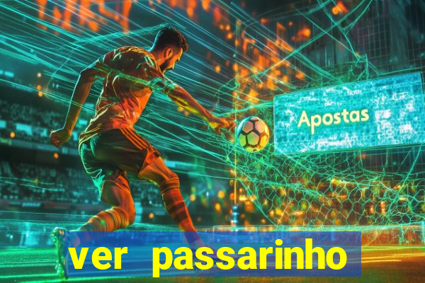 ver passarinho morto significado
