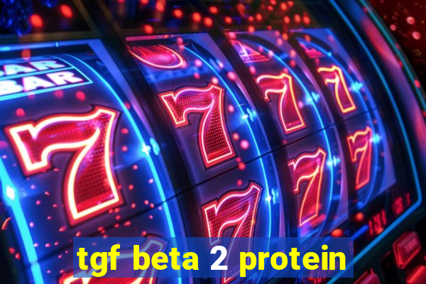 tgf beta 2 protein