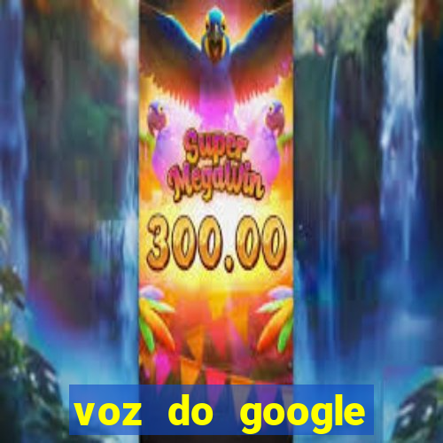 voz do google tradutor homem