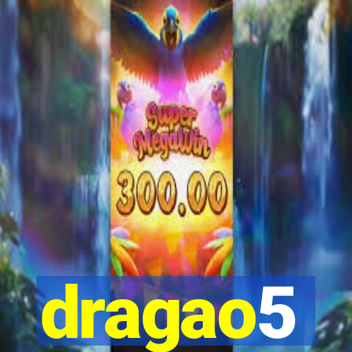 dragao5