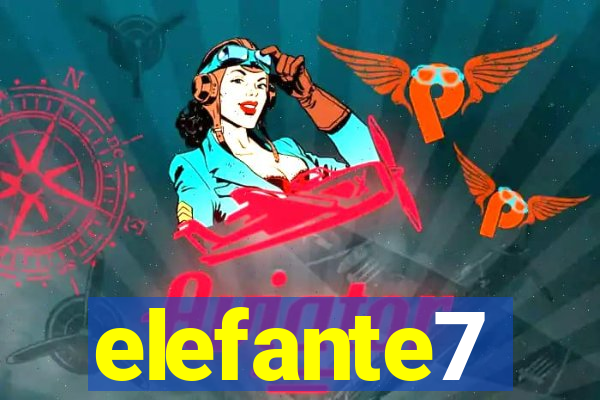 elefante7