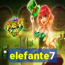 elefante7