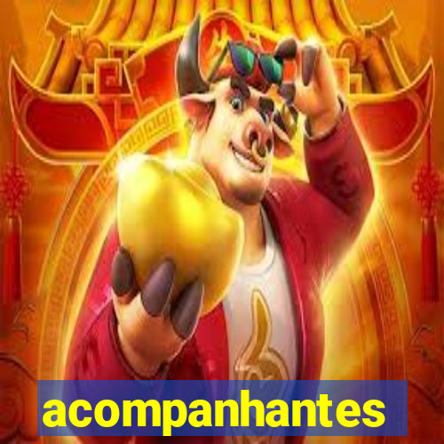 acompanhantes travestis bh