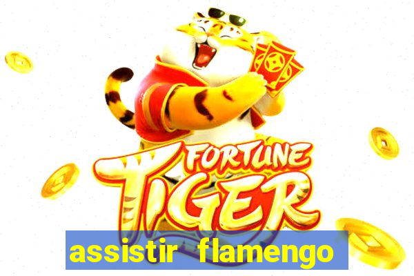 assistir flamengo play hd