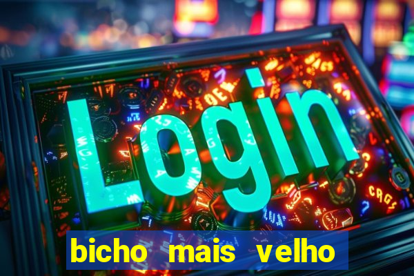 bicho mais velho da loteria dos sonhos