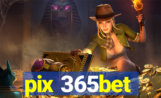 pix 365bet