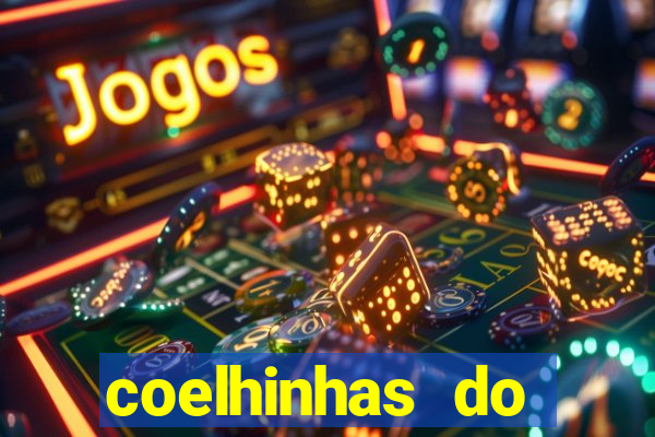 coelhinhas do brasil acompanhantes