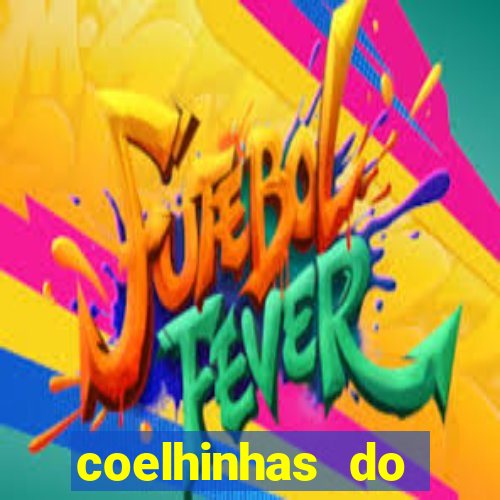 coelhinhas do brasil acompanhantes