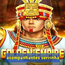 acompanhantes serrinha
