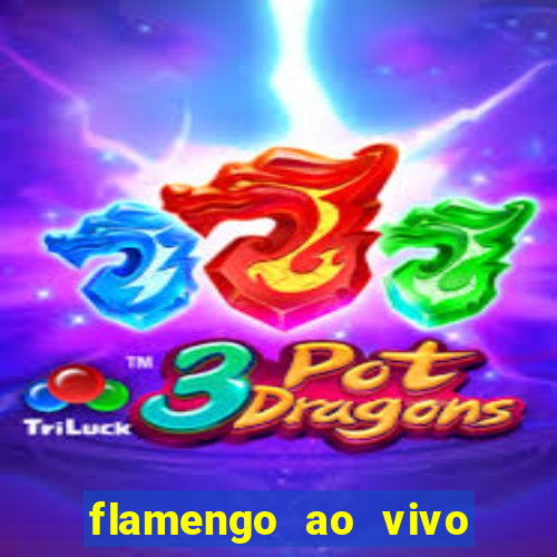 flamengo ao vivo hd play