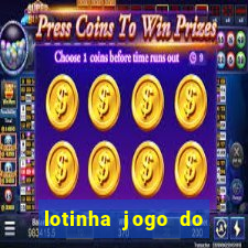 lotinha jogo do bicho como funciona