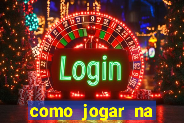 como jogar na lotinha do jogo do bicho