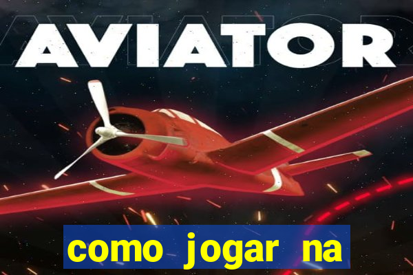 como jogar na lotinha do jogo do bicho