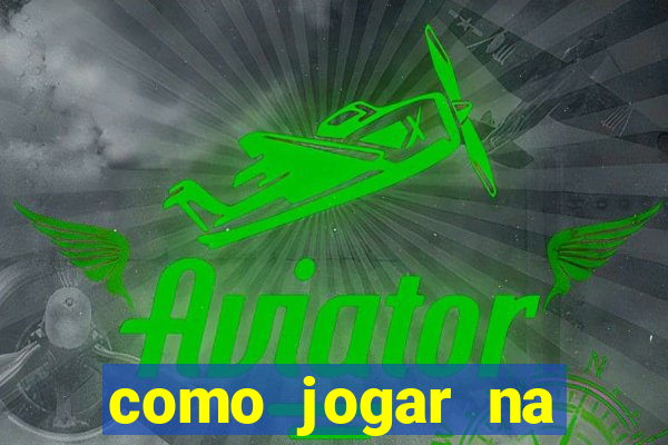 como jogar na lotinha do jogo do bicho