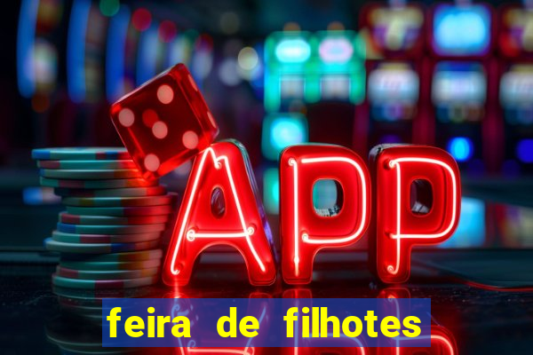 feira de filhotes porto alegre