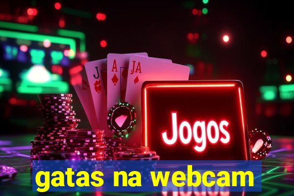 gatas na webcam