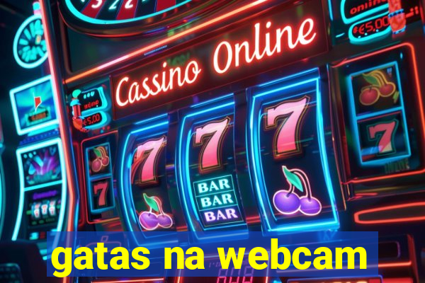 gatas na webcam