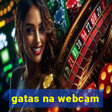 gatas na webcam