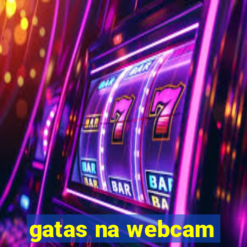 gatas na webcam
