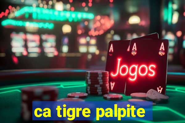 ca tigre palpite