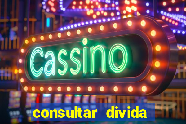 consultar divida casas bahia
