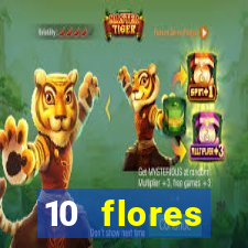 10 flores silvestres do nordeste