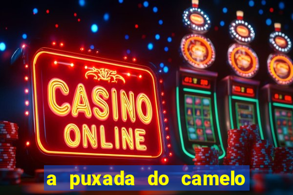 a puxada do camelo no jogo do bicho
