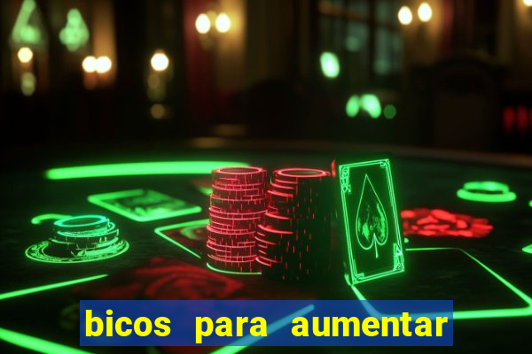 bicos para aumentar a renda
