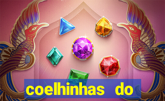 coelhinhas do brasil jp