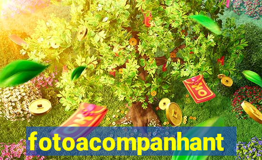 fotoacompanhante