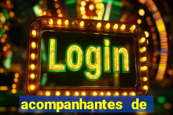 acompanhantes de luxo sc