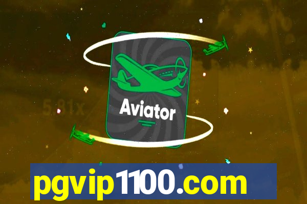 pgvip1100.com