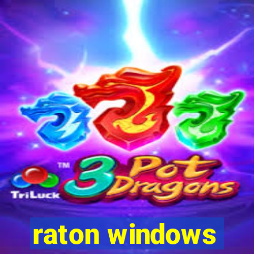 raton windows