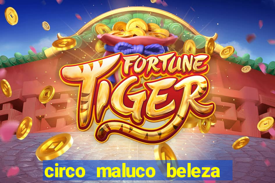 circo maluco beleza recife circo maluco